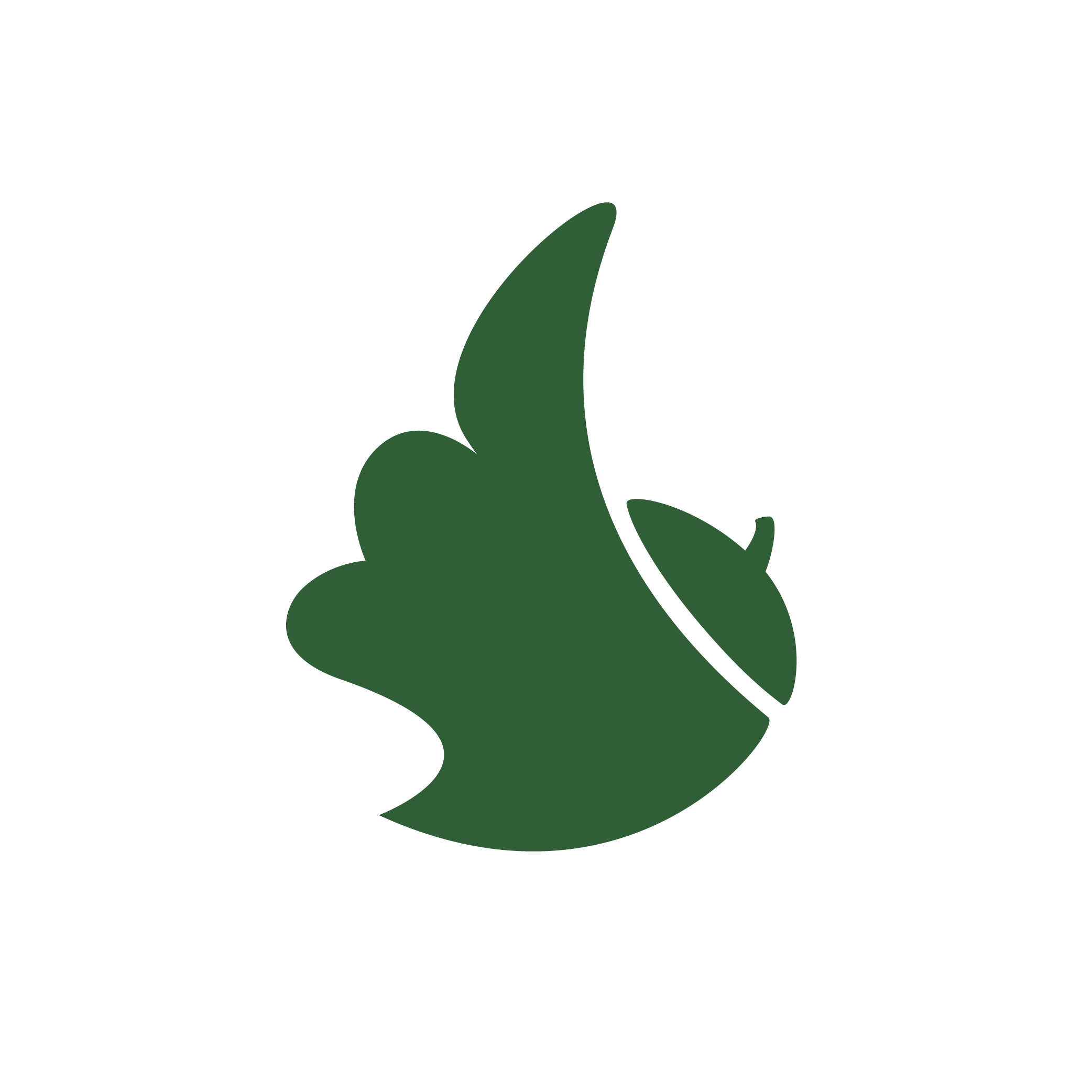 لوگوی بلوط پرنده